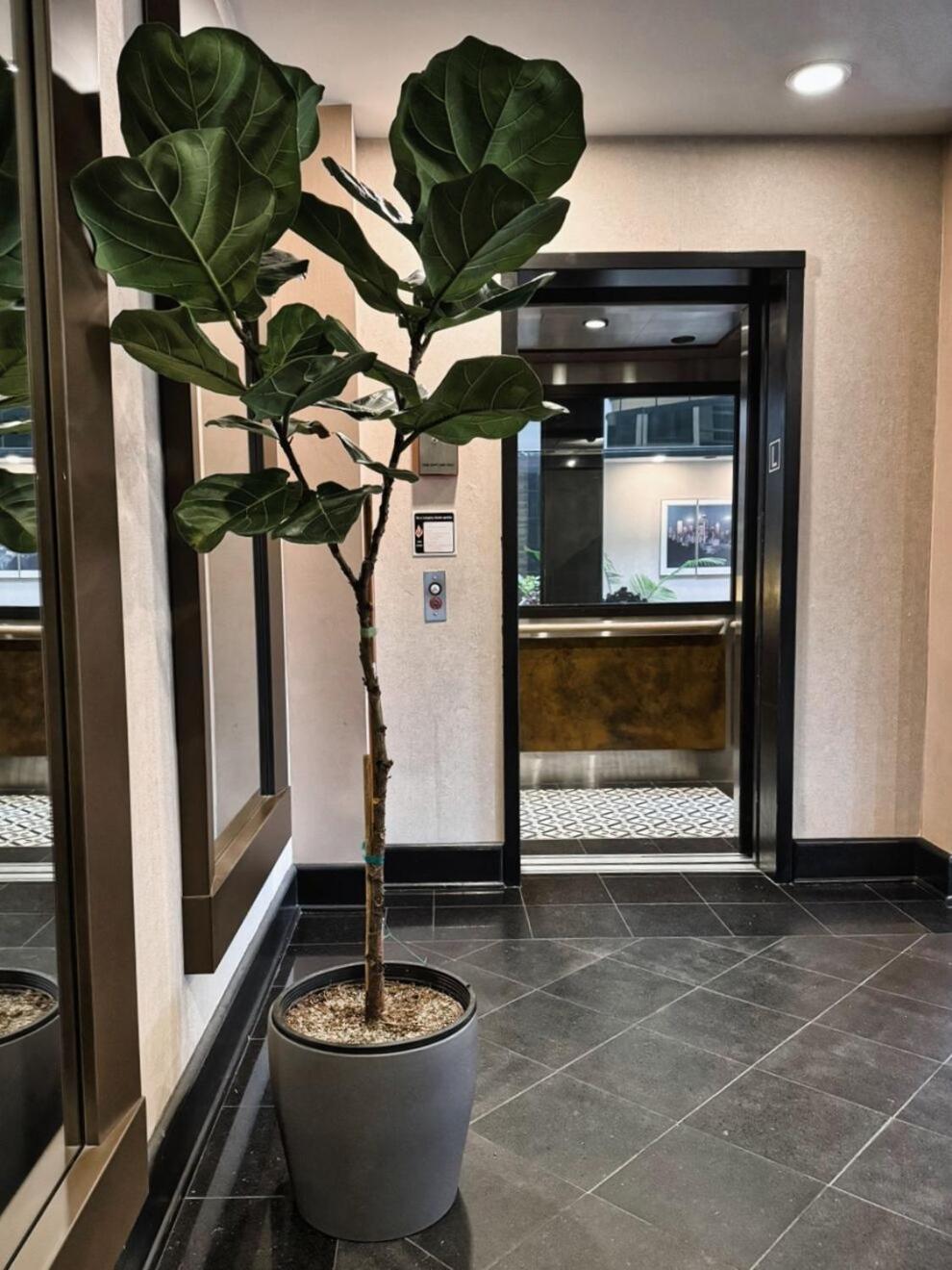 Hotel International Линуд Екстериор снимка